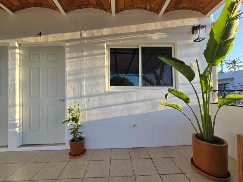 photo-2025-01-18-20-13-20_1