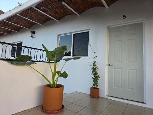 photo-2025-01-18-20-16-01_1