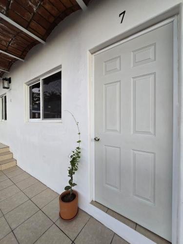 photo-2025-01-18-20-18-28