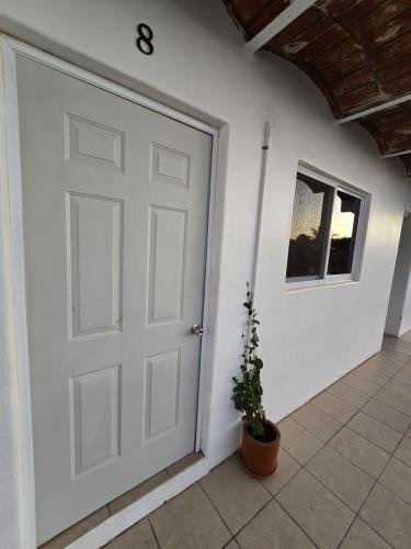 photo-2025-01-18-20-19-03