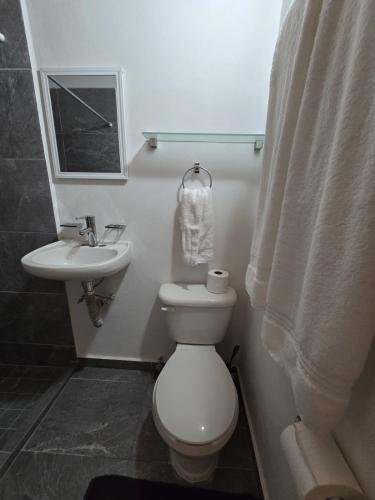 photo-2025-01-18-20-20-04